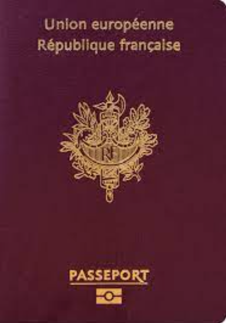 kaufen Sie einen französischen Reisepass