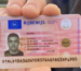 Koop een Nederlands Rijbewijs online